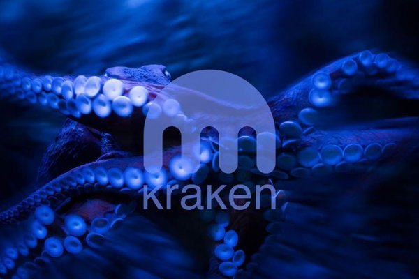 Официальная ссылка на kraken 2022
