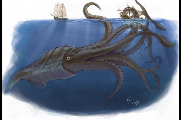 Kraken рабочий