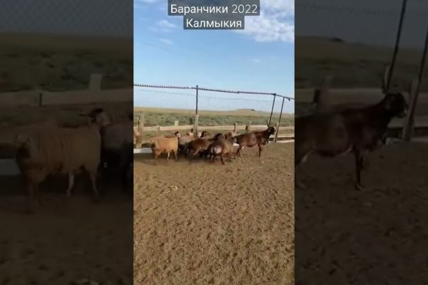 Как найти настоящую кракен даркнет ссылку