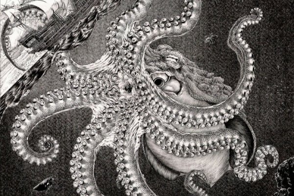 Кракен даркнет store kraken dark link