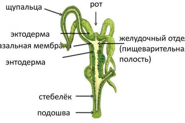 Кракен черный сайт