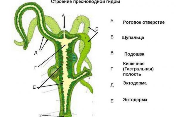 Зарегистрироваться на сайте кракен